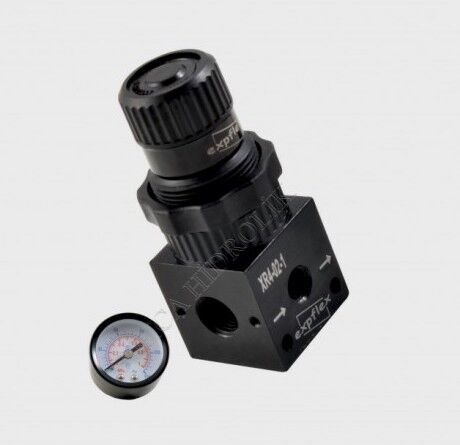 XR 4 SERİSİ  XR4-02-1  1/4 REGÜLATÖR