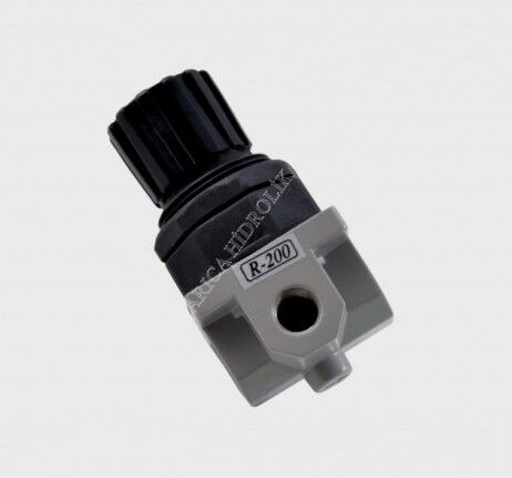 R200 SERİSİ R200 1/4 REGÜLATÖR